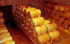 barrels of Douro Port Wine in a cellar